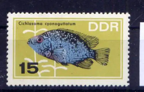 (33123) DDR Nr.1223                           **  postfrisch