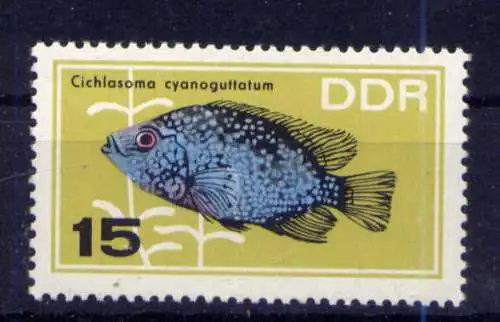 (33124) DDR Nr.1223                           **  postfrisch