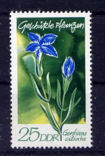 (33151) DDR Nr.1565                           **  postfrisch