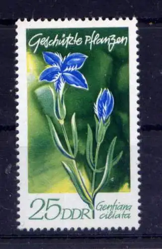 (33153) DDR Nr.1565                           **  postfrisch