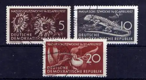 (33340) DDR Nr.561/3                     O  gestempelt