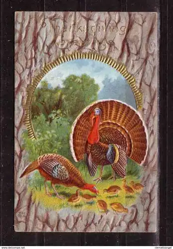 [Echtfotokarte farbig] 377 * FEINSTE PRÄGEKARTE * THANKSGIVING GREETINGS * 1916 **!!. 