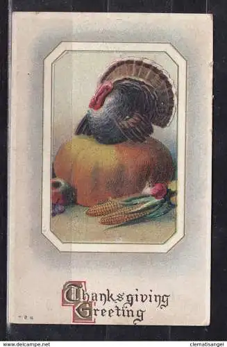 [Echtfotokarte farbig] 370 * THANKSGIVING GREETING * 1912 **!!. 