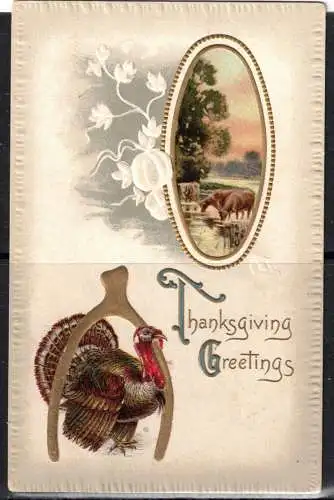 [Echtfotokarte farbig] 378 * FEINSTE PRÄGEKARTE * THANKSGIVING GREETINGS **!!. 