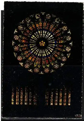 [Echtfotokarte farbig] 160 * STRASSBURG * CATHEDRALE * DIE ROSETTE DES MÜNSTERS **!!. 