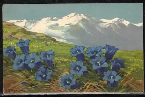 [Echtfotokarte farbig] 411 * KÜNSTLERKARTE WAGNER * ENZIAN * INNERHALB BOURNEMOUTH/ENGLAND **!!. 