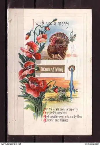 [Echtfotokarte farbig] 374 * PRÄGEKARTE * I WISH YOU A MERRY THANKSGIVING * 1913 **!!. 