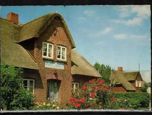 [Echtfotokarte farbig] 392bb * DIE SCHÖNE NORDSEEINSEL AMRUM * FRIESENHAUS **!!. 