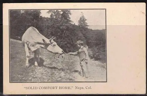 [Echtfotokarte schwarz/weiß] 195 * SOLID COMFORT HOME * NAPA KALIFORNIEN **!!. 