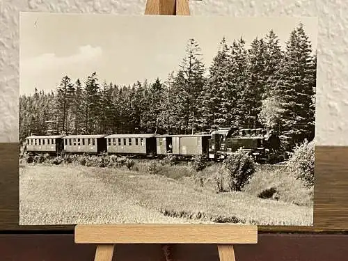 [Echtfotokarte schwarz/weiß] Kleinbahn 
Neudorf. 