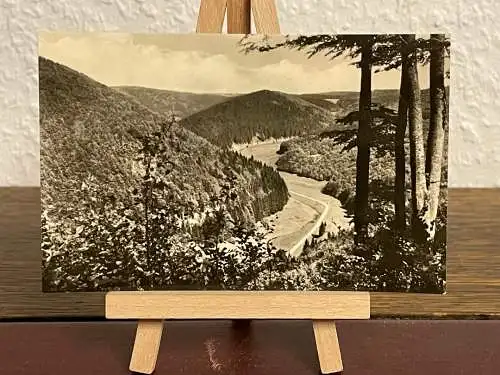 [Echtfotokarte schwarz/weiß] Schönes Thüringen am Rennsteig. 