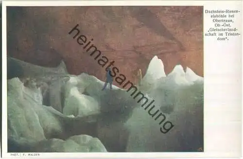 Dachstein-Rieseneishöhle bei Obertraun - Tristandom - Höhlenkarte Nr. 20
