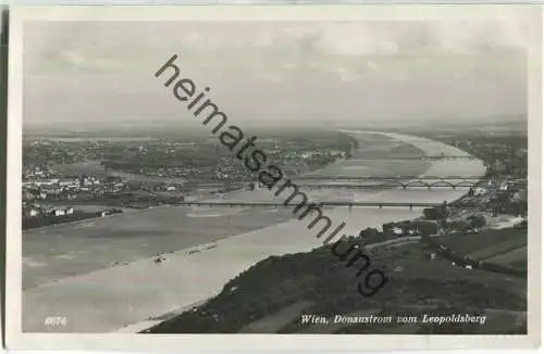 Wien - Donaustrom vom Leopoldsberg - Foto-Ansichtskarte - Verlag Donauland Wien