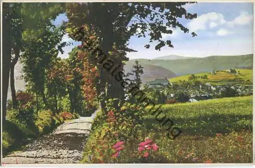 St. Andreasberg - Blick vom Gesöhr - Verlag H. Niebur St. Andreasberg