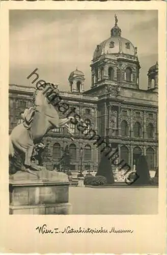 Wien - Naturhistorisches Museum - Foto-Ansichtskarte - Verlag Grapha Wien