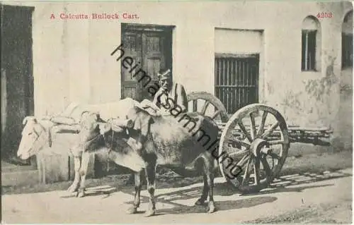 India - Calcutta - Bullock Cart