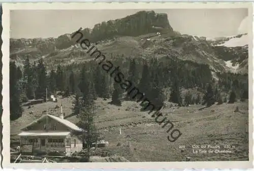 Col du Pillon - Le Tete de Chamois- Foto-Ansichtskarte - Verlag Fred Pernet Col du Pillon