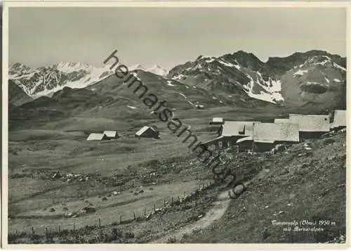 Tannenalp - Berneralpen - Foto-Ansichtskarte - Verlag E. Goetz Luzern