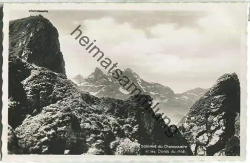 Sommet du Chamossaire - les Dents du Midi - Foto-Ansichtskarte - Verlag Art. Perrochet-Matile SA Lausanne