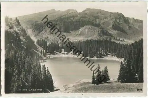 Lac des Chavonnes - Foto-Ansichtskarte - Verlag Art. Perrochet-Matile SA Lausanne