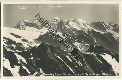 Les Alpes Bernoises vues du Torrenthorn - Foto-Ansichtskarte - Verlag Societe Graphique Neuchatel