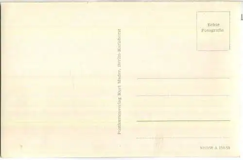 Berlin - Bärenzwinger - Verlag Kurt Mader Berlin-Karlshorst