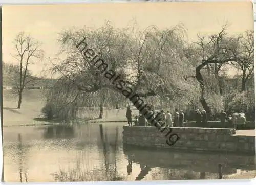 Berlin-Friedrichshain - Goldfischteich im Friedrichshain - Foto-Ansichtskarte - Verlag VEB Postkarten-Verlag Berlin