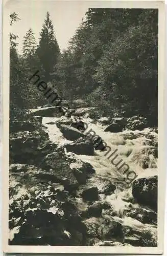 Höllental - Am Sauerbrunnen - Foto-Ansichtskarte - Verlag Paul König Lobenstein