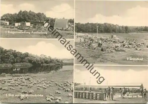 Grimma - Naherholungsgebiet Thümmlitzsee - Amalienburg - Muldenbrücke - Terrasse am See - Foto-AK Grossformat gel. 1979