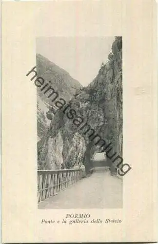 Bormio - Ponte e la galleria dello Stelvio - Verlag U. Trinca Sondrio