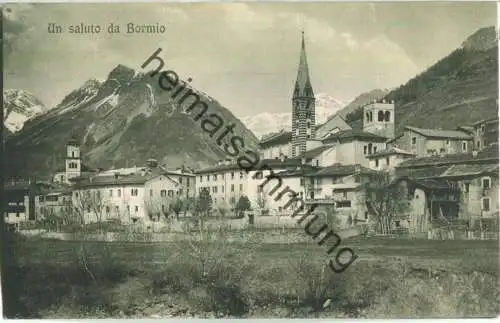 Bormio - Teilansicht - Verlag Fiorantini & C Tirano