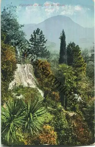 Meran - Vegetation in der Gilf - Verlag Johann F. Ammon Bozen