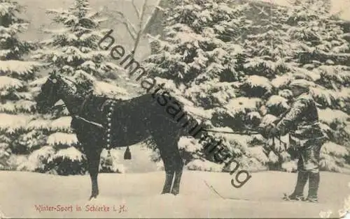 Schierke - Winter-Sport - Pferd - Verlag Fr. Vesterling Schierke - gel. 1910