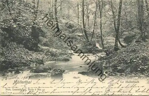 Luxembourg - Müllerthal - Le Hallerbach - Verlag Nels Luxemburg gel. 1903