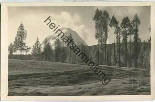 Hohe Munde - Foto-Ansichtskarte - Verlag Karl Dornach Innsbruck