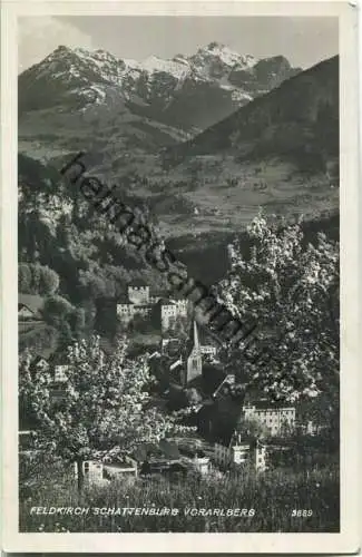 Feldkirch - Schattenburg - Foto-Ansichtskarte - Verlag Risch-Lau Bregenz
