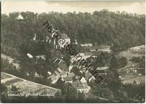 Liebstadt mit Schloss Kuckuckstein - Foto-Ansichtskarte - Verlag Hans C. Schmiedicke Markkleeberg