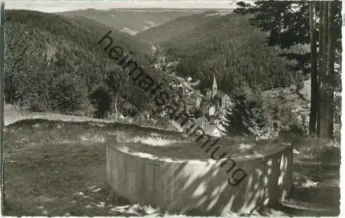 Lauterbach - Blick von der Steinbank - Foto-Ansichtskarte - Verlag Schöning & Co. Lübeck