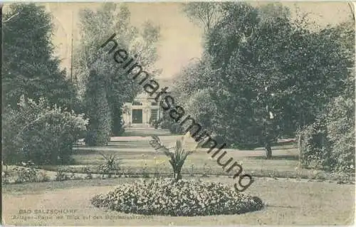 Bad Salzschlirf - Anlagen - Partie mit Blick auf den Bonifaciusbrunnen - Verlag E. Naumann Wiesbaden