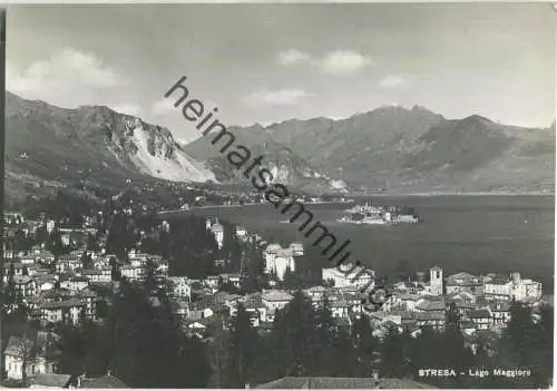 Stresa - Lago Maggiore - Foto-Ansichtskarte - Edition Menotti Thanhoffer Stresa