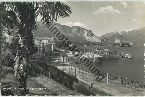 Stresa - Lago Maggiore - Hafen - Foto-Ansichtskarte - Edizione Brunner & C. Como