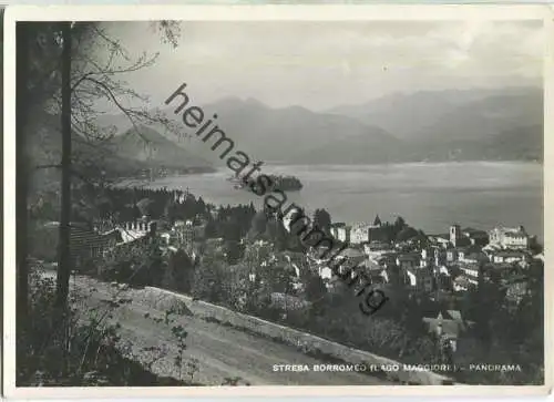 Stresa - Borromeo - Foto-Ansichtskarte - Panorama Edizione E. Panighetti Milano