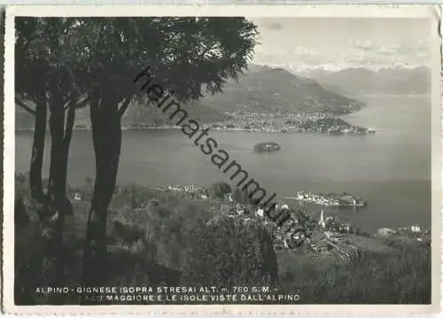 Alpino-Gignese sopra Stresa - Lago Maggiore e le isola viste dall' Alpino - Foto-Ansichtskarte