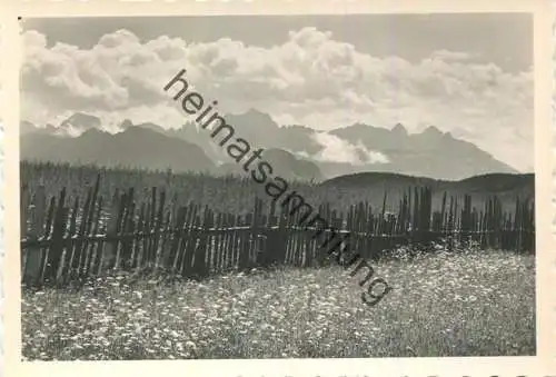 Il Catinaccio dal Renon - Der Rosengarten - Foto-AK Grossformat - Photo Wolfram Knoll - Verlag J. F. Amonn Bolzano Nr. 3