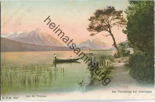 Lac de Thoune - Am Thunersee bei Interlaken