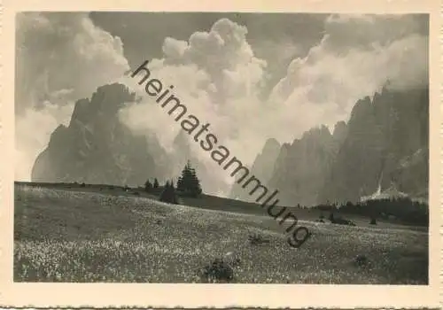 Die Langkofelgruppe von der Seiseralm - Foto-AK Grossformat - Photo Wolfram Knoll - Verlag J. F. Amonn Bolzano Nr. 30917