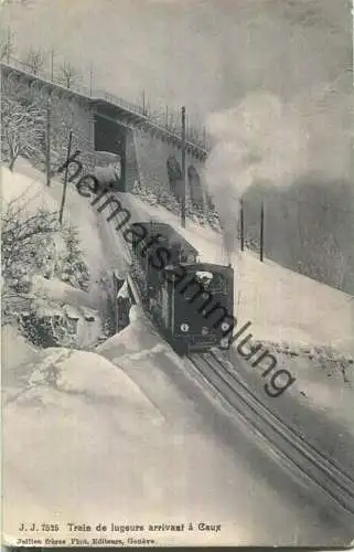 Train de lugeurs arrivant a Caux - Edition Jullien freres Geneve