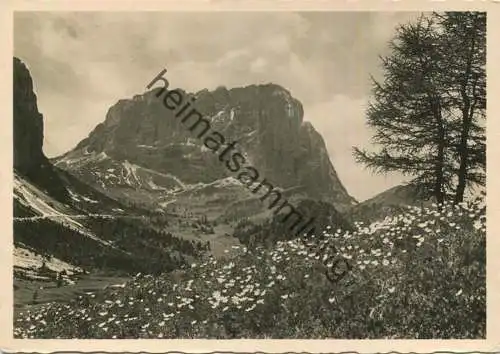 Sasso Piato - Gruppo del Sassolungo - Foto-AK Grossformat - Photo Wolfram Knoll - Verlag J. F. Amonn Bolzano Nr. 34549