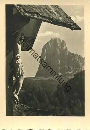 Il Sassolungo - Der Langkofel - Foto-AK Grossformat - Photo Wolfram Knoll - Verlag J. F. Amonn Bolzano Nr. 31102