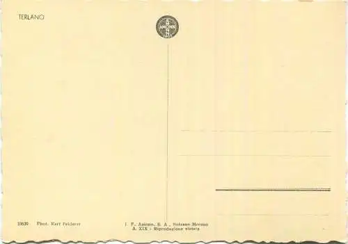 Terlano - Terlan - Photo Karl Felderer - Foto-AK Grossformat - Verlag J. F. Amonn Bolzano Nr. 33639
